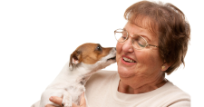 Is Owning a Pet Good for Your Heart? Picture of an older Caucasian woman holding a little dog.