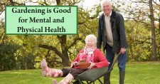 How Gardening Can Keep You Healthy, Mentally and Physically. Picture of an older caucasian male and female with the female riding in a wheelbarrow and both are laughing.